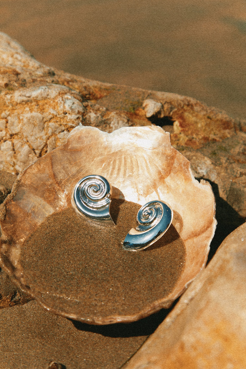Leilani Sea Shell Earring - Silver