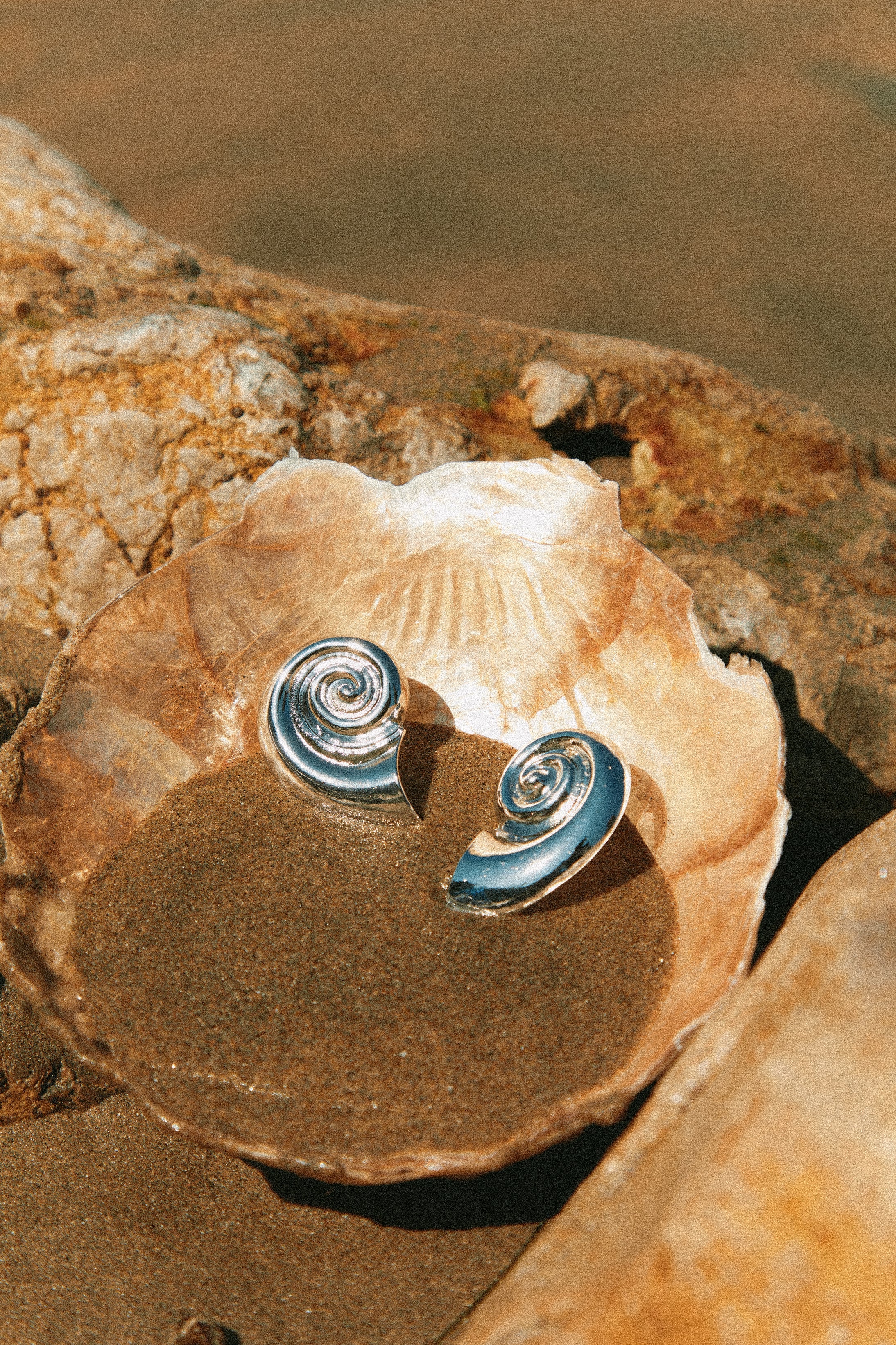 Leilani Sea Shell Earring - Silver
